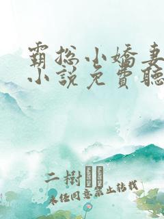 霸总小娇妻有声小说免费听