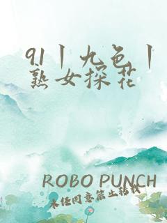 91丨九色丨老熟女探花