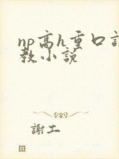 np高h重口调教小说