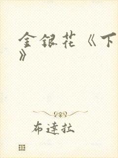 金银花《下厨房》