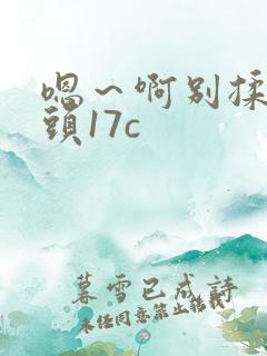 嗯～啊别揉我奶头17c