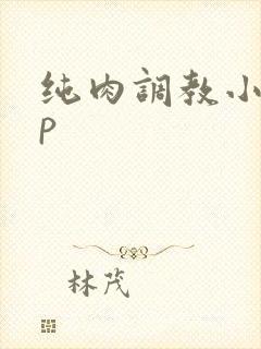 纯肉调教小说np