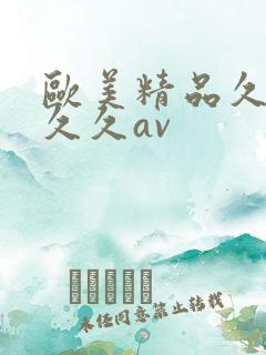 欧美精品久久久久久av