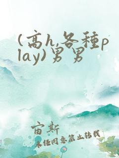 (高h,各种play)男男