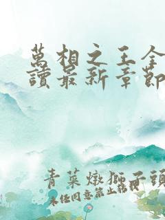 万相之王全文阅读最新章节