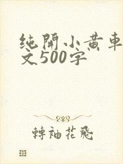 纯开小黄车小短文500字
