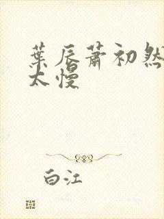 叶辰萧初然更新太慢