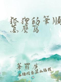 狐狸的笔顺笔画怎么写