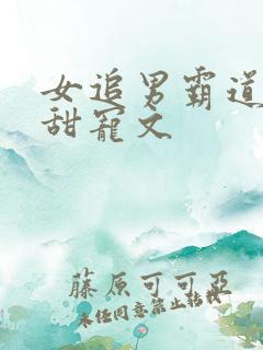 女追男霸道总裁甜宠文