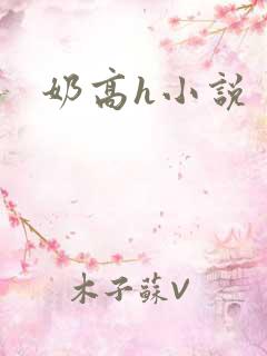 奶高h小说