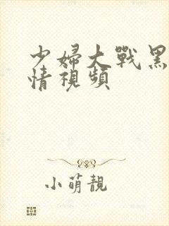 少妇大战黑人激情视频