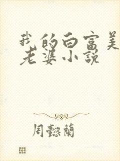 我的白富美总裁老婆小说