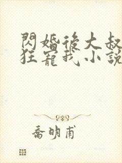 闪婚后大叔每天狂宠我小说免费阅读