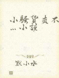 小骚货爽不爽……小说