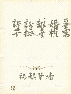 诉讼离婚争取孩子抚养权需要找律师吗