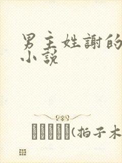 男主姓谢的现代小说