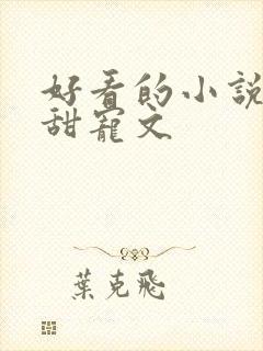 好看的小说言情甜宠文