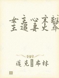 女主心寒离开男主追妻火葬场现言