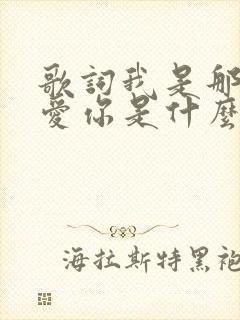 歌词我是那么的爱你是什么歌