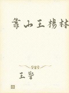 靠山王杨林简介