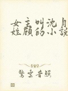 女主叫沈月男主姓顾的小说