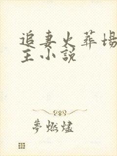 追妻火葬场双男主小说