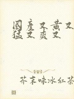 国产又黄又粗又猛又爽又