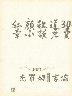 红颜政道300章小说免费阅读