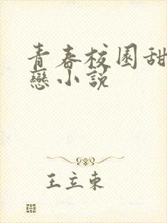 青春校园甜宠暗恋小说