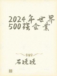 2024年世界500强企业