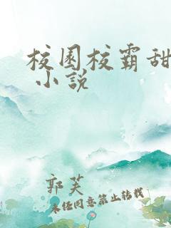 校园校霸甜宠文 小说