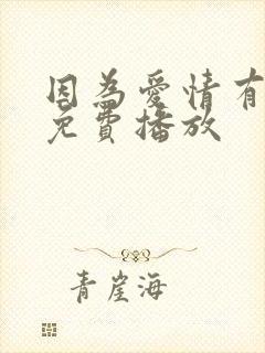 因为爱情有多美免费播放