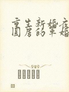 重生新婚夜正在圆房的军婚小说