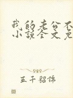 我的老公不一样小说全文免费阅读