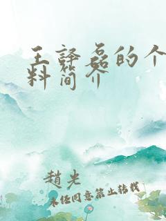 王译磊的个人资料简介