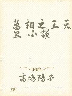 万相之王天蚕土豆 小说