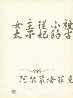 女主从小被定为太子妃的古言