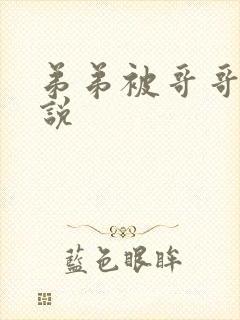 弟弟被哥哥打小说