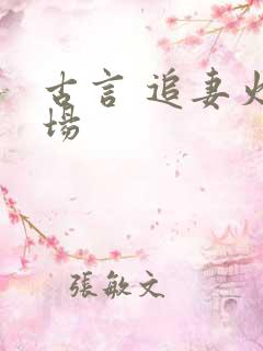 古言 追妻火葬场