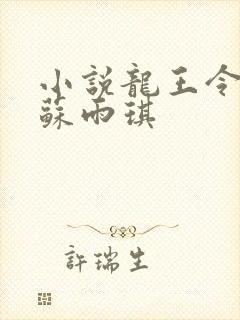 小说龙王令陈平苏雨琪