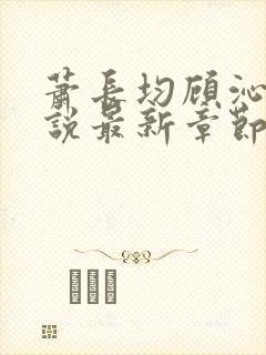 萧长均顾沁儿小说最新章节免费阅读