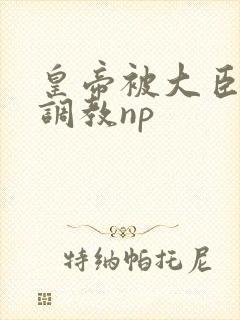 皇帝被大臣玩弄调教np