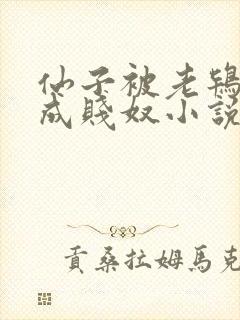 仙子被老鸨调教成贱奴小说