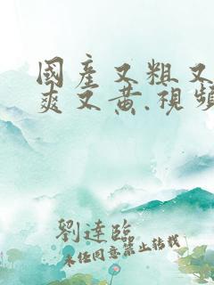 国产又粗又猛又爽又黄.视频