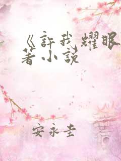 《许我耀眼》原著小说