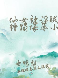 仙女被淫贼强行糟蹋侮辱小说