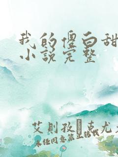 我的傻白甜老婆小说完整