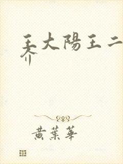 王大阳王二阳简介