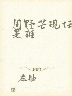 周野芒现任妻子是谁