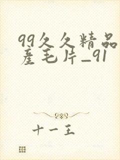 99久久精品国产毛片_91